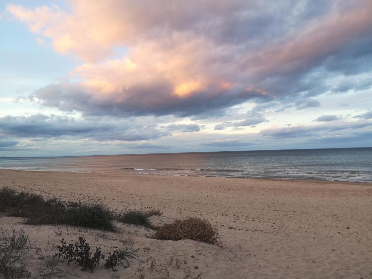 Apartamento Con Vistas Al Mar Олива Екстериор снимка